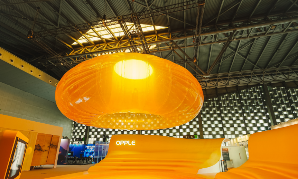 设计上海刷屏！成人影视片
从这里升起了一颗太阳